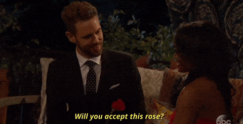 bachelor-hands-rose-to-contestant-ecommerce bachelor giving date a rose