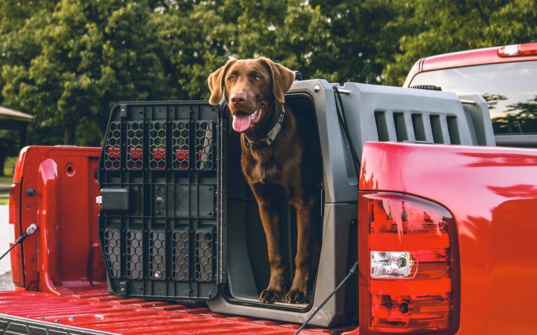 How to Drive Conversions by Displaying User Generated Content