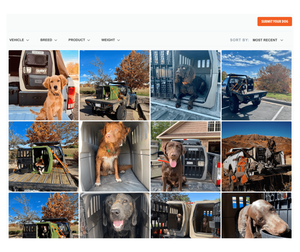 gunner kennels visual ugc