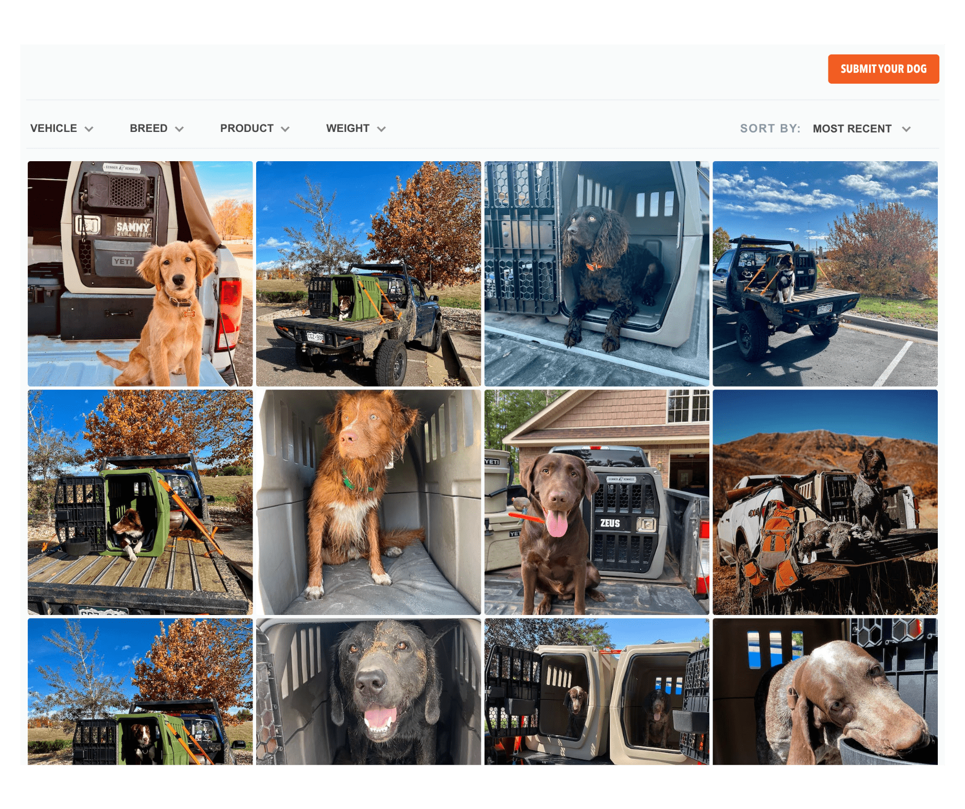 Collect actionable insights with experience surveys