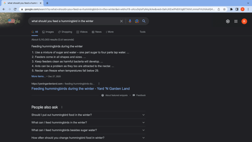 long-tail-keywords-feature-snippets-ecommerce long tail keyword search result