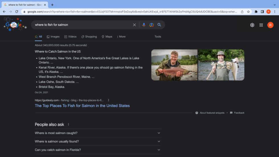 featured-snippet-unordered-list-ecommerce rich snippet in list form