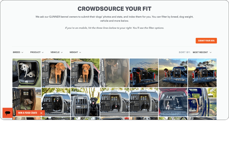 gunner kennels gallery