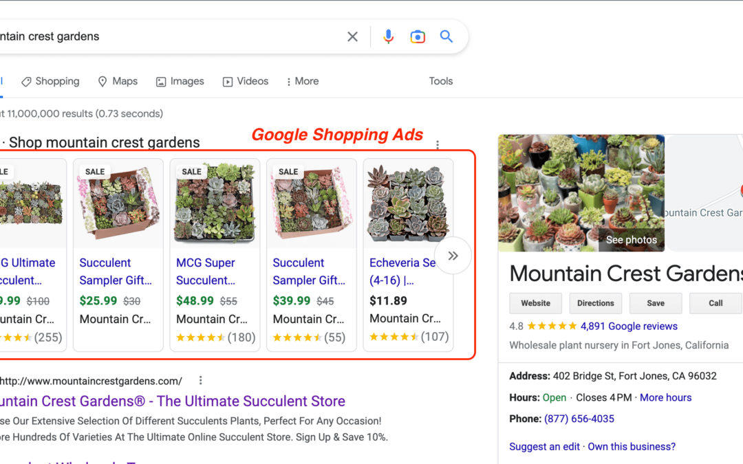 The Ultimate Guide to Setting Up a Google Shopping Feed for Ecommerce