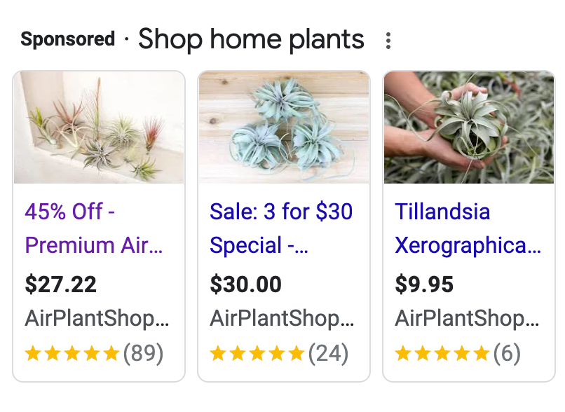 Air Plant Shop Google Ads