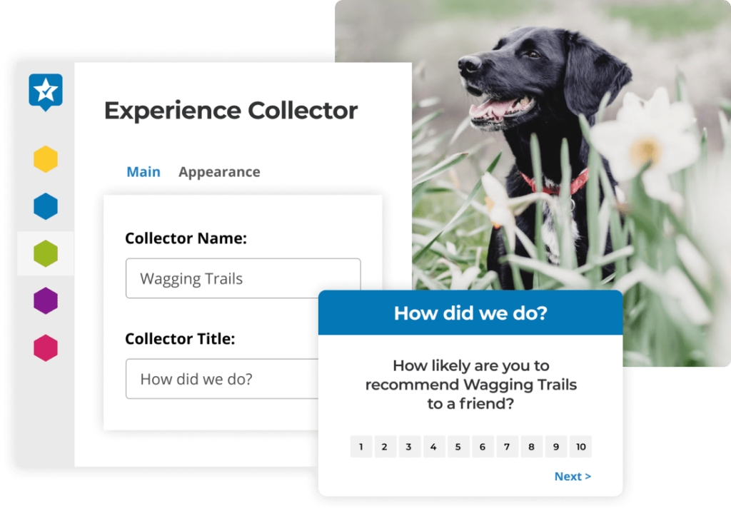 send NPS surveys to your customers