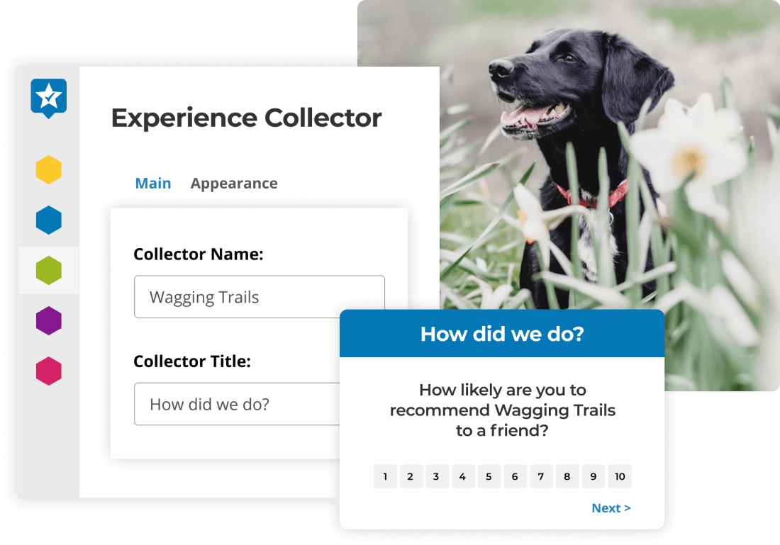 send NPS surveys to your customers