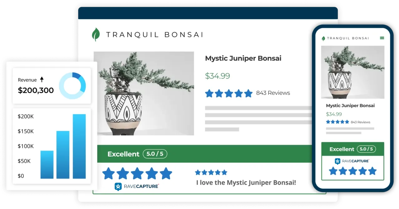 collect ecommerce reviews with ravecapture