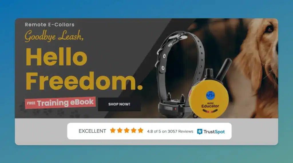 remote ecollar training ebook graphic