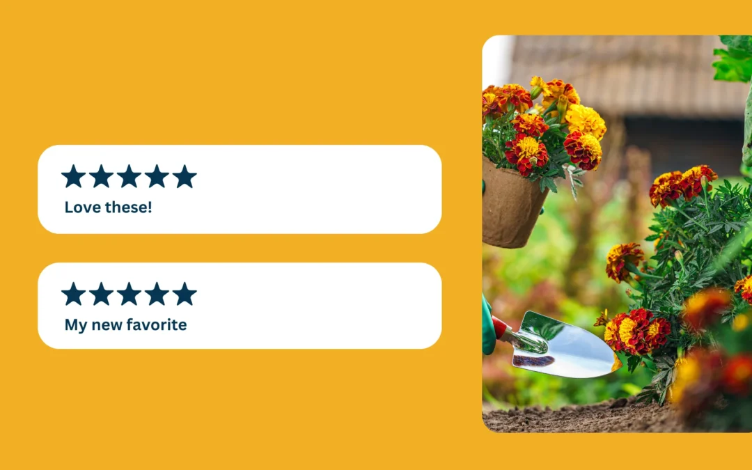 Post-Purchase Touchpoints for Home and Garden Brands