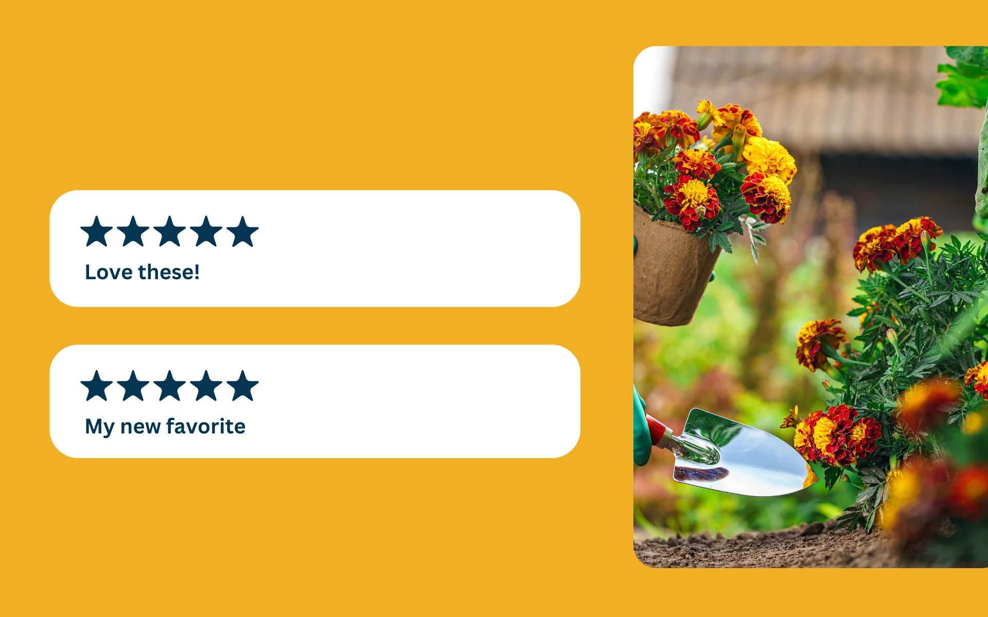 Post-Purchase Touchpoints for Home and Garden Brands