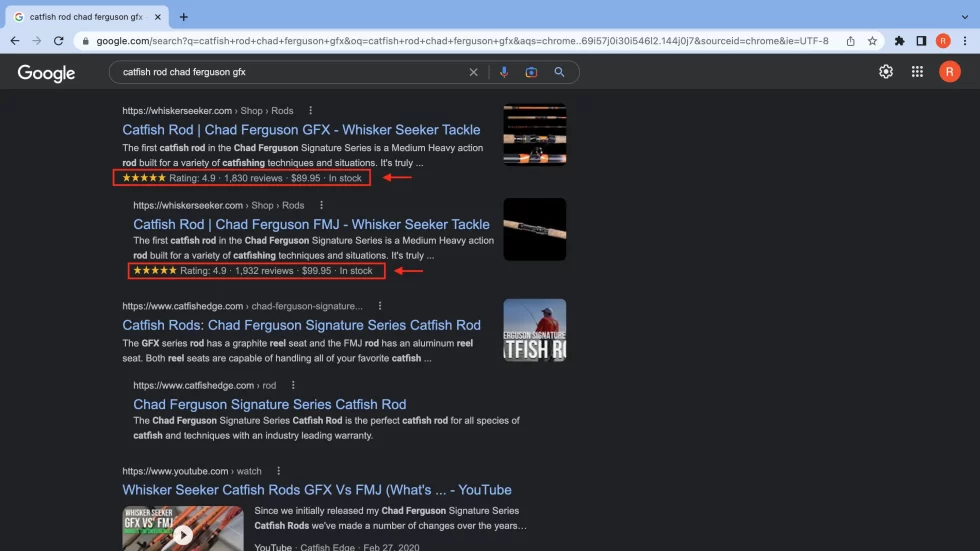 rich snippets next to product search results google rich snippets