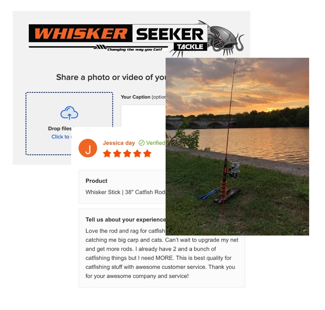 whiskerseeker video review